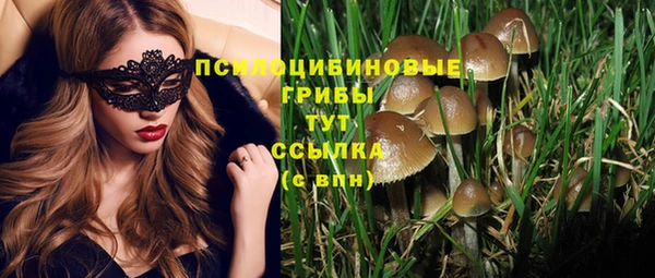 соль курить ск Иннополис