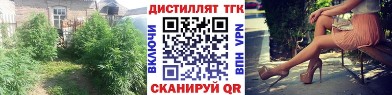 Купить  Шагонар  Дистиллят ТГК вейп 
