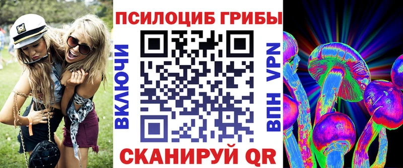 Купить  Шагонар  Псилоцибиновые грибы прущие грибы 